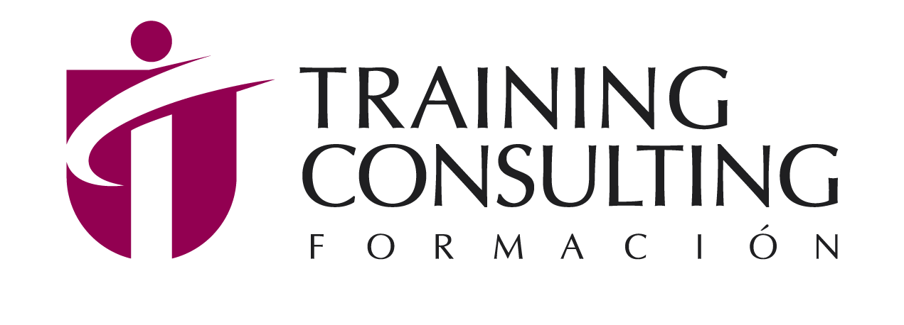 Training Consulting
